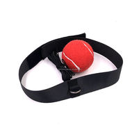MMA Sanda – ensemble d'entraînement des yeux et des mains, balle de boxe, réflexe, vitesse, Punch Ball avec bandeau, équipement de Fitness en salle