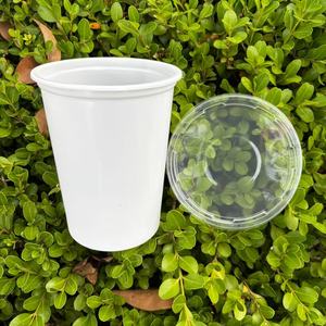 Vasos desechables <span class=keywords><strong>de</strong></span> plástico para microondas, 32OZ, PP blanco, 32OZ, vasos desechables <span class=keywords><strong>de</strong></span> plástico para comida Deli, tapas para pudín, salsa, vasos <span class=keywords><strong>de</strong></span> maíz Go - Product Image 1