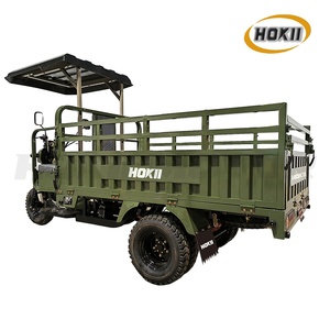Tricycle Hokii <span class=keywords><strong>300cc</strong></span> Scooters à <span class=keywords><strong>3</strong></span> roues Tricycle Moto 250cc Cargo - Product Image 3