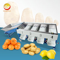 ORME kleine dadel avocado sorteermachine kiwi citrus appel fruit maat sorteermachine voor aardappelen