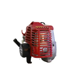 Wenxin Hot sale Single Cylinder 2 Stroke Mini Petrol Gasoline Engine For Water Pump Generator