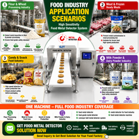 Détecteur de métaux pour convoyeurs, machine d'inspection haute sensibilité pour la ligne de production de transformation alimentaire