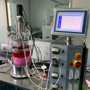 Lab Small Batch 1l 2l 5l 10l Bioreactor Culture Liquide Glass Vessel