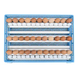 완전 자동 계란 인큐베이터 블루 치킨 오리 거위 새 계란 인큐베이터 판매
