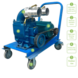 Pompa Autoadescante in Acciaio Inox ad Alta Prevalenza per Fosse Settiche, Acque Reflue, Laghetti per Pesci, Fanghi e Letame Suino - Product Image 4