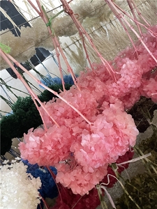 Ramo <span class=keywords><strong>de</strong></span> Flores Secas LUYI, <span class=keywords><strong>Hojas</strong></span> Grandes, Rosa, Azul, Morado, Blanco, Rosa Empolvado, Rojo, Hortensias Preservadas para Decoración <span class=keywords><strong>de</strong></span> Eventos - Product Image 6