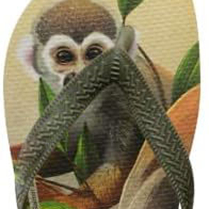 Verano al aire libre playa Animal Kingdom La parte inferior plana multicolor para hombres y mujeres se puede personalizar patrón chanclas - Product Image 5