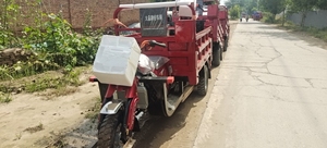 Triciclo con motor de gasolina de nuevo estilo, motocicleta Popular para adultos, triciclo de carga de gasolina de 175 Cc <span class=keywords><strong>200</strong></span> 250 Cc - Product Image 4