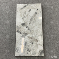 Carrelage Mural et de Sol en Porcelaine Façon Marbre Poli Brillant Émaillé 60x120 pour Intérieur, Salle de Bain et Salon