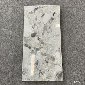 חרסינה מלוטשת מזוגגת שיש 60x120 פנים חדר אמבטיה קיר רצפה לחדר סלון - Product Image 3