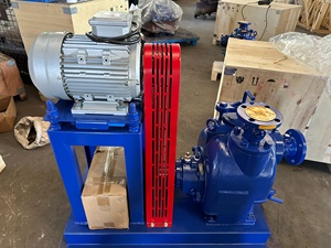 Pompe à eau à déchets auto-amorçante série <span class=keywords><strong>Super</strong></span> T de 3 pouces, 4 pouces, 6 pouces, 8 pouces, 10 pouces - Product Image 6