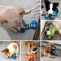 Jouet interactif pour chien en forme d'os qui couine, en TPR, double couche, pour chiens de petite et moyenne taille