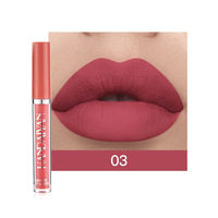 Lot de Rouges à Lèvres Liquides Mat Résistants à l'Eau pour Filles et Femmes, Trousse de Maquillage Lèvres Multi-Couleurs, Kit Gloss Vente en Gros, Longue Durée Maquiagem