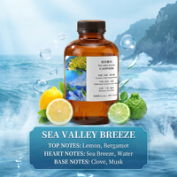 Huile parfumée Sea Valley Breeze aux agrumes, huile essentielle pour diffuseur de parfum commercial, machine de diffusion de parfum pour hôtel, spa, huile aromatique, OEM ODM Factory