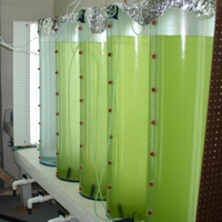 Tube en PMMA acrylique transparent haute brillance pour l'élevage d'algues, diamètre extérieur 90 mm et épaisseur 2 mm/3 mm, pour l'aquaculture agricole
