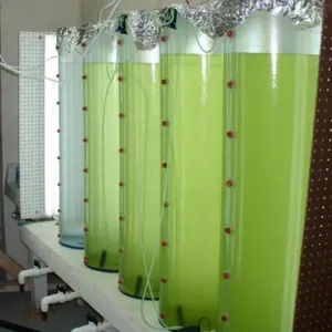 High Polishing Transparent Organic Clear Glass PMMA Algae Farming Acrylic Tube For Agricultural Aquaculture