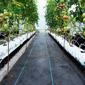 Serre tunnel en plastique PC pour maison, projets clés en main, kit de serre en verre, serre préfabriquée, <span class=keywords><strong>hangar</strong></span> <span class=keywords><strong>agricole</strong></span> - Product Image 6