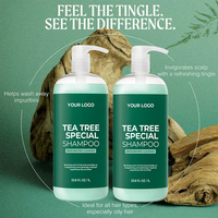 Shampoo Nettoyant Végétalien à l'Huile d'Arbre à Thé OEM ODM pour Cheveux Bouclés Abîmés - Liquide Hydratant Lissant et Contrôle du Sébum