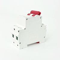 Disjoncteur miniature CNXE DZ47-2P C63, capacité de coupure 6kA, 240V 50/60Hz, protection contre les surcharges et les courts-circuits sur rail DIN BCD
