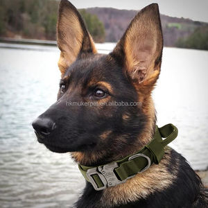 Adjustable 3.8cm Wide Nylon Tactical Dog Collar New Design with Soft Metal Buckle for Large Dogs' Training - Product Image 2