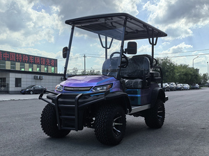 سيارة جولف كهربائية بدون رخصة قيادة سيارة جولف كهربائية صغيرة شارع سيارات صديق كهربائية قانونية - Product Image 4