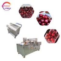Industriële & tafelmodel kersenontpitter, fruitontpitter voor kersen en wilde vruchten, voor verwerking.