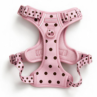 Ensemble Harnais et Laisse pour Chien Personnalisé avec Logo, Motif Pois, Fabricant OEM, avec Collier et Laisse pour Chien avec Nœud Papillon – Vente en Gros