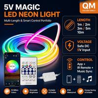 Bande LED flexible néon colorée 5V612 de 8 mm en cuivre avec IC RGB et lumières dynamiques, télécommande, kit LED IP66