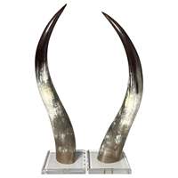 Paire de cornes de buffle longues, qualité supérieure, polies naturellement, artisanales, style trophée, pour décoration murale