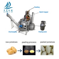Stoomschilmachine met CE-certificaat, automatische fruit- en groenteschiller voor aardappel, cassave en voedselverwerkingslijn