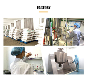 100% tự nhiên Chiết Xuất Hạt Nho <span class=keywords><strong>OPC</strong></span>/nho bột hạt (Proanthocyanidins) - Product Image 4