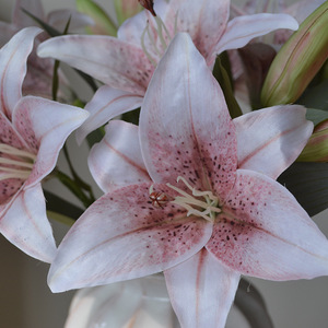 Artificial Lily <b>Flowers</b> 3D Effect <b>Silk</b> <b>Flower</b> Arrangement For Home Decor Tabletop Display - Product Image 3