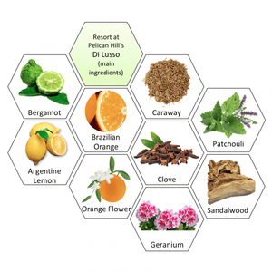 Aceite Difusor de 500 ml Inspirado en el Hotel Pelican Hill, Aceite de Fragancia de Perfume de Alta Concentración de Lujo para Perfume de Sala de Estar - Product Image 3