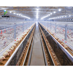 Sistema Automático para Granjas Avícolas, Jaulas para Pollos <span class=keywords><strong>de</strong></span> Engorde Tipo H con Batería Automática - Product Image 1