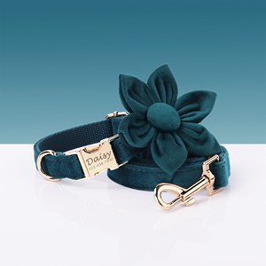 Collar para Perro Personalizado con Grabado en Color Verde Azulado con Juego de Correa y Corbatín - Product Image 4