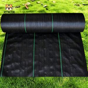 <span class=keywords><strong>Manta</strong></span> Antihierbas de Tela Tejida de PP/PE Ecológica al por Mayor para Agricultura, Jardín y Vivero - Product Image 1