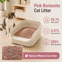 Litière pour chat en bentonite de sodium rose 4,55 kg, minérale naturelle, agglomération rapide, très faible poussière, anti-odeur, faible dispersion, vente en gros, OEM