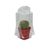 Boîtes de transport de fleurs Emballage à clapet blister d'expédition de plantes en pot personnalisé