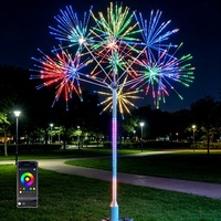 Guirlande lumineuse LED en métal à commande par application, effet feux d'artifice, couleurs RGB changeantes, étanche IP65, pour extérieur, jardin, Noël, fête, décorations lumineuses à pixels