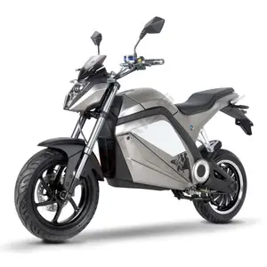 Wholesale High Performance Motocross 250cc Electric Motorcycle With Disc Brake