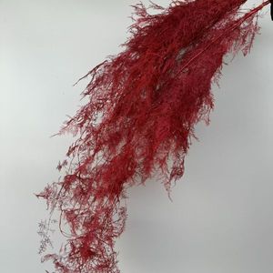 Yunnan Vente en gros Asperges conservées Fleurs de fougère pour la fête de mariage et décor de <span class=keywords><strong>maison</strong></span> Saint Valentin et Pâques Faveurs de mariage - Product Image 2