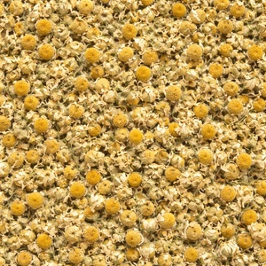 Venta al por mayor <span class=keywords><strong>a</strong></span> <span class=keywords><strong>granel</strong></span> de té de flores de <span class=keywords><strong>manzanilla</strong></span> natural de alta calidad Yang Gan Ju, té de hierbas desintoxicante adelgazante, Matricaria Chamomilla - Product Image 6