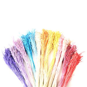 ดอกไม้แห้งสำหรับตกแต่งพืชเมืองร้อน Oryza sativa ข้าวเปลือกแห้ง - Product Image 6