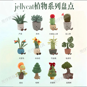 Juguetes de Peluche de Alta Calidad Personalizados de 8 Pulgadas con Forma de Plantas en Maceta: Helecho, Girasol, Cactus, Lavanda para Decoración de Fiestas - Product Image 2
