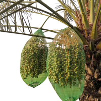 Oogstbescherming Dadels Palmgaas Netzak Datum Fruitzak Met Hoge Kwaliteit