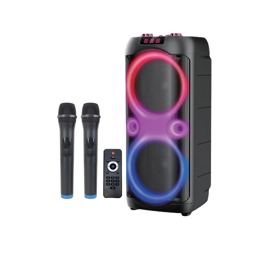 Neu gestaltete Dual 10 Zoll profession elle aktive Stereo-DJ-Party-Box tragbare Bluetooth-Lautsprecher