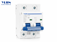 Interruptor Automático Miniatura (MCB) de CC de 2 Polos YIJIN/OEM Directo de Fábrica, 250V 440V, 63A-125A, Capacidad de Ruptura de 6kA, Tipo C para Carril DIN