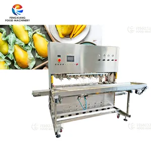 Nouvelle technologie mangue éplucheur carottier presse-agrumes écorçage épluchage jus purée broyage extraction des aliments fruits boisson ligne de traitement