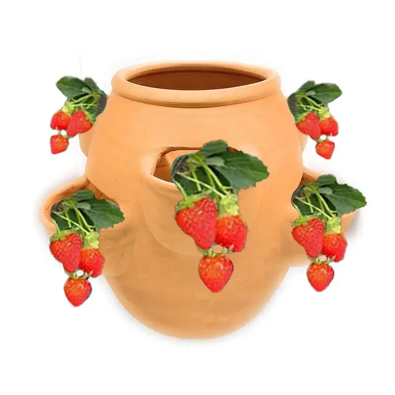 Nouveau pot de pépinière en terre cuite fraise respirant 4 trous personnalisé Pots de jardin écologiques