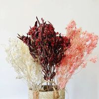 Selamat Datang Bunga Iris Alami Kering dengan Pinggiran, Bunga Pansy Kering Grosir Satu Atap, Bunga Kustom untuk Dekorasi Acara Tahun Baru
